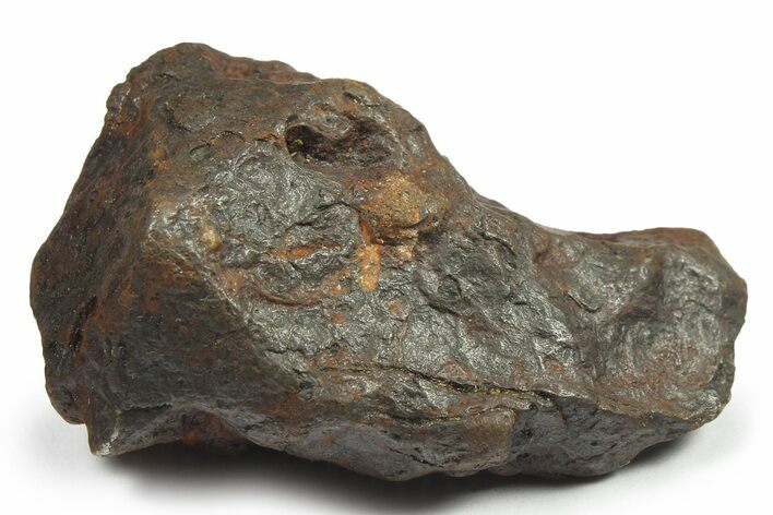 Canyon Diablo Iron Meteorite ( g) - Arizona #270514